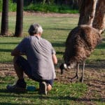 Man Feeding The Big Bird — Caravan Park in Kinka Beach, QLD