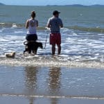 Couple with two dogs fishing in the ocean — Caravan Park in Kinka Beach, QLD