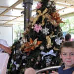 Christmas Tree — Caravan Park in Kinka Beach, QLD