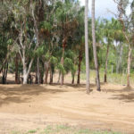Sites 47 Years Ago — Caravan Park in Kinka Beach, QLD