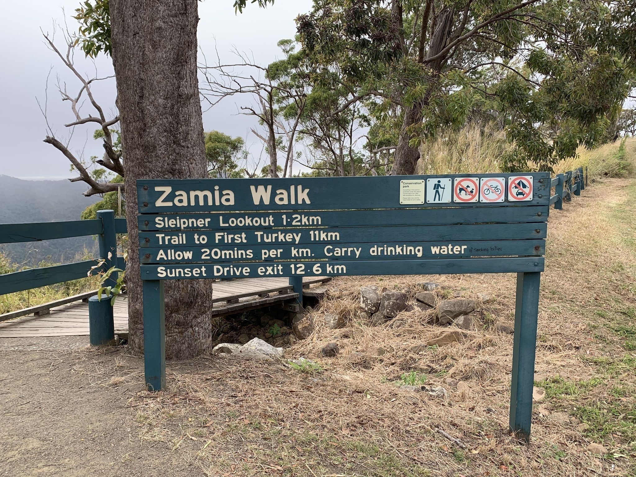 Zamia Walk1